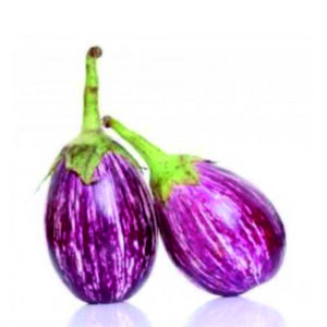 Regular Brinjal