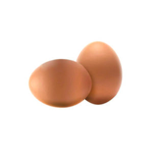 Egg