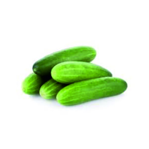 Cucumber