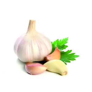 Garlic