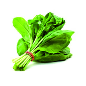 Palak