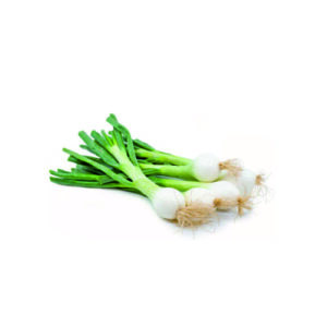 Spring Onion