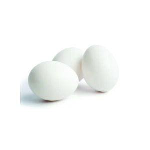Egg